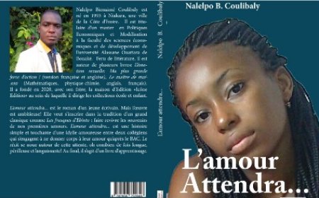 Un ouvrage pour la prévention des grossesses à l'école