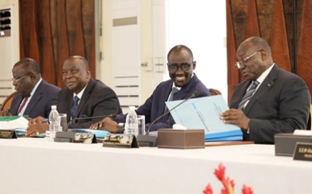 Construction d’une centrale thermique à biomasse d’une puissance installée de 2x23 Mégawatts à Ayébo (Aboisso)