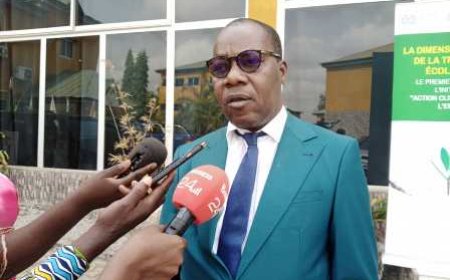 Effets du changement climatique sur le monde du travail : L’Oit et le Gouvernement, ensemble pour identifier des activités prioritaires.