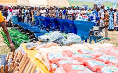 Tonkpi / Célébration de la femme paysanne : Plus de 5000 femmes choisissent Edwige Diety pour la régionale