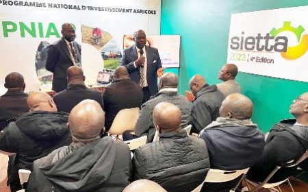 Agriculture : le SIETTA vise à attirer des investisseurs et à accroître la valeur ajoutée de la filière anacarde, selon le ministre d'État Kobenan kouassi Adjoumani