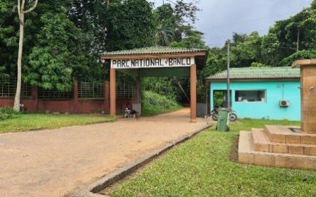 Salon International de l'Agriculture de Paris (SIA) 2023 : le ministre d’État Kobenan Kouassi Adjoumani promeut la biodiversité pour une agriculture durable
