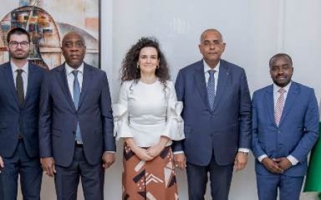 Lutte contre le changement climatique : Patrick Achi échange avec la patronne du CIF