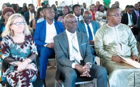 Recherche scientifique_Le ministre Adama Diawara prend part à une présentation des résultats de recherche financés par le FONSTI