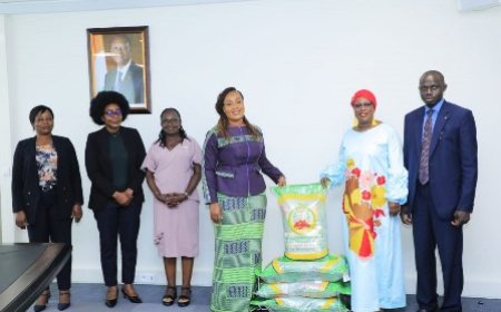 Assistance aux victimes de sinistres et catastrophes naturelles : La CEDEAO manifeste sa solidarité au gouvernement ivoirien