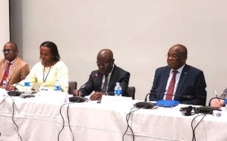 Atelier Régional de l’OMS sur les soins de santé primaires : 25 pays Africains réunis à Abidjan