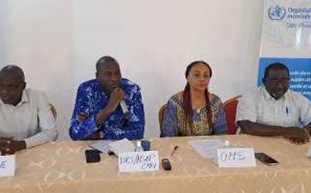 Région du Tchologo/décès maternels et périnatals : Des agents de santé renforcent leurs capacités