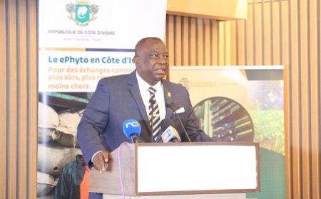 Exportations de produits végétaux : à compter du 03 mai 2023, la Côte d’Ivoire passera officiellement à la délivrance des certificats phytosanitaires électroniques