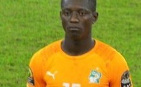 Eléphants : La 100è pour Max Gradel