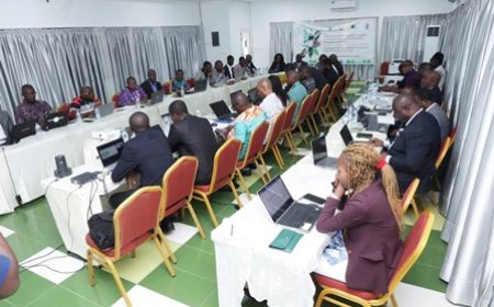 Adaptation aux changements climatiques : Une Session de pré-validation du document cadre du Plan national d’adaptation réunit les sectoriels