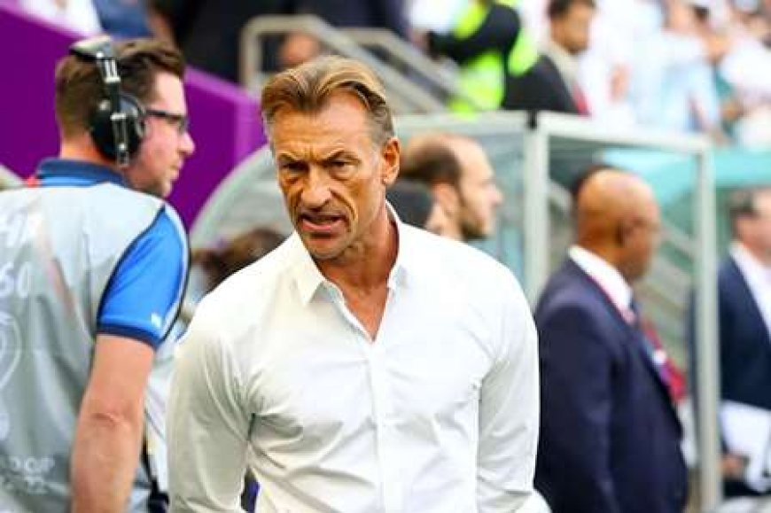 Football : Hervé Renard nommé sélectionneur de l'équipe de France féminine