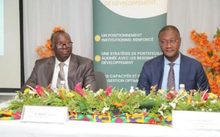 Amélioration des recettes des sociétés d’Etat : Moussa Sanogo met la pression