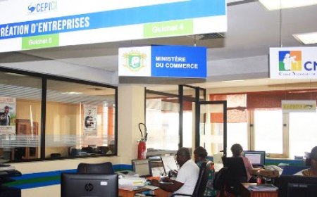 Amélioration du climat des affaires : Le GUFE, un outil au service des entreprises