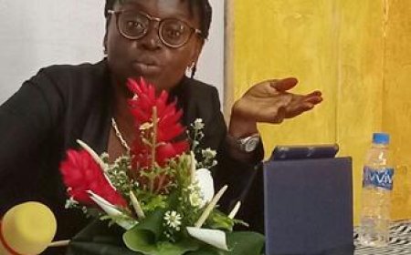 CAVALLY : Mme KOUAMETTIEN née OULIA GUÉI, présidente du BIC, « Notre mission principale est d’offrir au Cavally une voix et une visibilité sur le marché des investissements ».