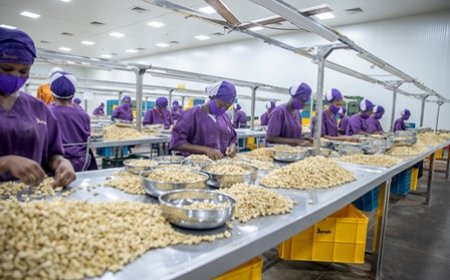 Promotion du secteur privé : GUDE-PME et PEPITE 2030, deux dispositifs pour l’émergence de champions nationaux