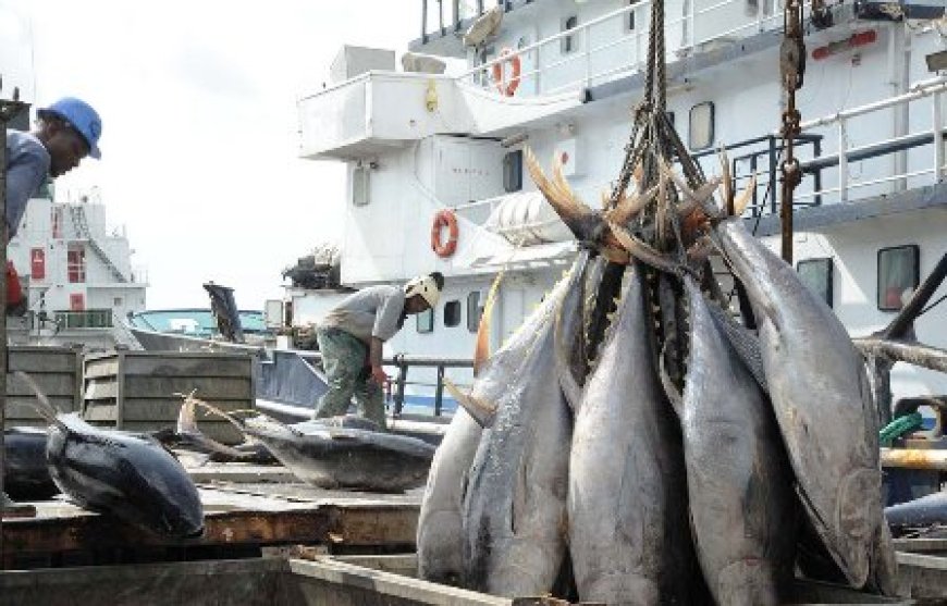Pêches marines : le gouvernement institue une période de fermeture saisonnière annuelle pour assurer le renouvellement des ressources halieutiques et aquacoles