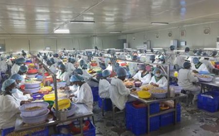 Tout savoir sur : la protection des droits des travailleurs en Côte d’Ivoire au centre de la conférence de presse le 02 mai 2023