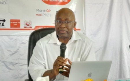 Gbêkè / La démocratie en crise en Afrique : Achille Mbembe propose une nouvelle alternative