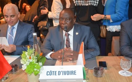 Initiative triple A : le Ministre Kobenan Kouassi Adjoumani présente la vision de la Côte-d'Ivoire