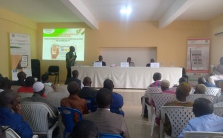 Touba / Affection et orientation des élèves : Les innovations expliquées aux populations