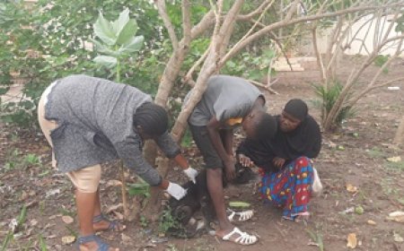 Man / Campagne de sensibilisation sur la rage : Un expert de la santé tire la sonnette d'alarme