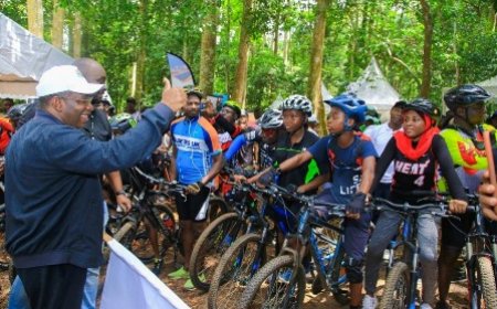 Loisirs et jeunesse: Insertion professionnelle et épanouissement en attraction