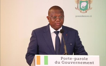 Secteur coton, palmier à huile et riz :10 milliards FCFA pour la mise en place d’un mécanisme d’assurance récolte indicielle