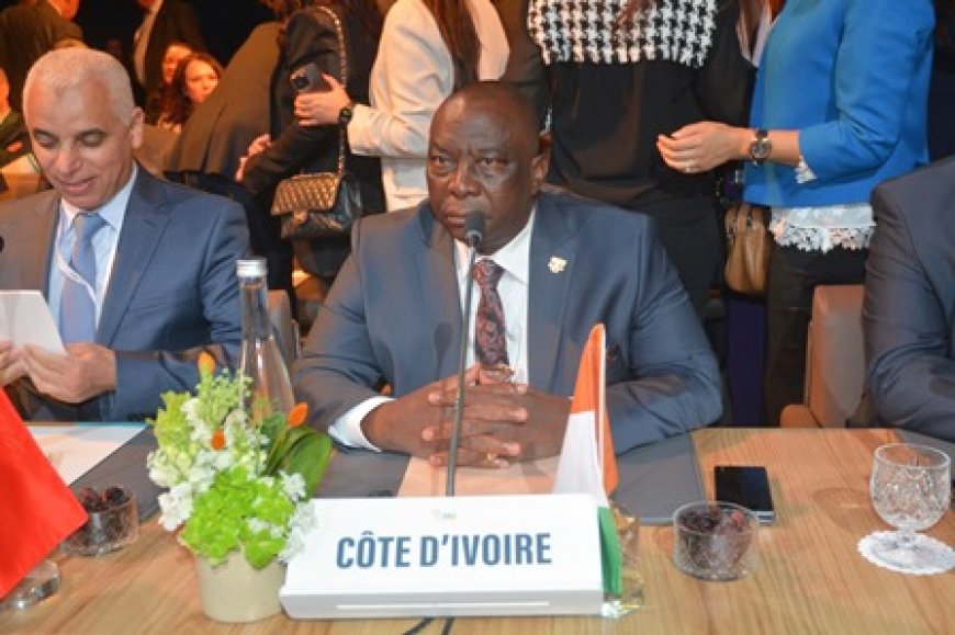 Initiative triple A : le Ministre Kobenan Kouassi Adjoumani présente la vision de la Côte-d'Ivoire