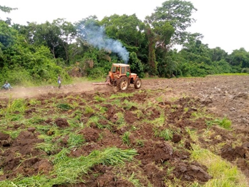 Bafing / Autosuffisance en riz: Les paysans de Koonan sollicitent l'État pour la mise en valeur de 500 ha