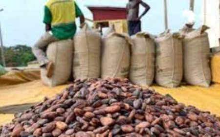 LE COMITÉ DE PILOTAGE DE L’ICCIG SE RÉUNIT À ACCRA POUR ECHANGER SUR LES PROCHAINES ÉTAPES DU PACTE ÉCONOMIQUE DANS UN CONTEXTE DE STABILITÉ DES PRIX DU CACAO