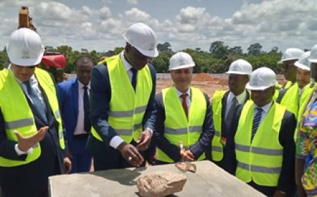 Innovation agricole en Afrique subsaharienne: La Digital Farming School livrée dans un an