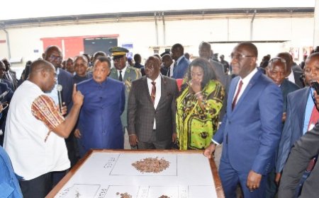 Transformation du cacao : la capacité installée de broyage est passée à 972 000 tonnes en 2022 contre 706 000 tonnes en 2017