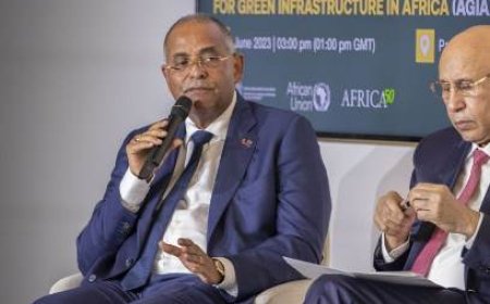 Protection de l’environnement : Patrick Achi présente les actions fortes du Président Ouattara