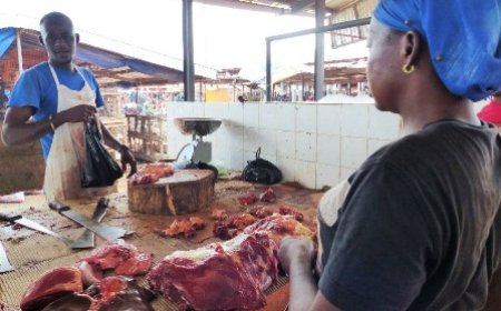 Marché Mo-Fêtai de Yamoussoukro : la boucherie moderne construite par le pôle agro-industriel dans la région du Bélier (2PAI-Bélier) désormais ouverte