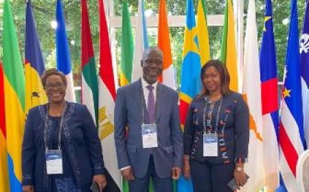 Conseil permanent de la Francophonie : L’Ambassadeur Maurice Bandaman représente la Côte-d’Ivoire