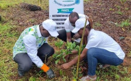 L'ONG internationale "Sauvons l'Environnement" participe à un reboisement à Jacqueville