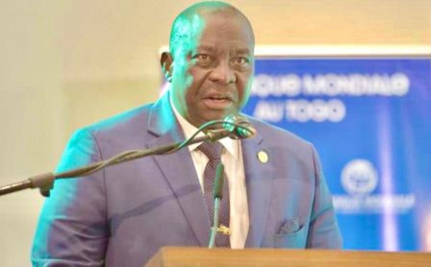Utilisation des engrais et sécurité alimentaire : le ministre d’Etat Kobenan Kouassi Adjoumani explique la politique de la Côte d’Ivoire