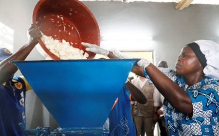 Transformation de manioc en attiéké : l’unité semi-industrielle du Groupement Sanata de N’Douci construite dans le cadre du Psgouv est désormais opérationnelle