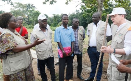 Programme social du gouvernement (Ps-Gouv) : Séraphin Yopini, un exemple de réussite dans la production de manioc à N'Douci
