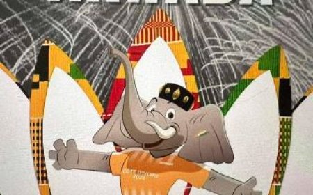 COCAN : LA MASCOTTE DE LA CAN 2023 PRÉSENTÉE OFFICIELLEMENT CE VENDREDI