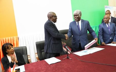 Initiative Villes Vertes de la FAO : de réelles opportunités de valorisation des déchets et de création d’emplois