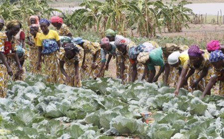 PSGouv 2 : des résultats visibles contribuant à l’amélioration des conditions de vie des ménages sur l’ensemble du territoire
