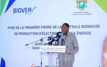Électricité : Sangafowa-Coulibaly lance les travaux d'une centrale biomasse à Ayébo (Aboisso)