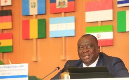 Réunion des Nations Unies sur la transformation des systèmes alimentaires : Le ministre d’Etat Kobenan Kouassi Adjoumani co-préside un panel de haut niveau des parties prenantes à Rome