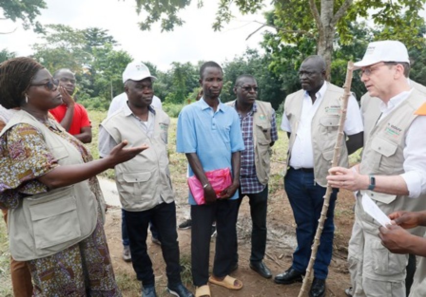 Programme social du gouvernement (Ps-Gouv) : Séraphin Yopini, un exemple de réussite dans la production de manioc à N'Douci