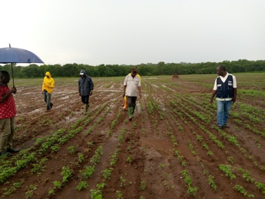 Campagne 2023 du projet soja: Le Meminader satisfait des opérations de labour et de semis à Touba et Odienné