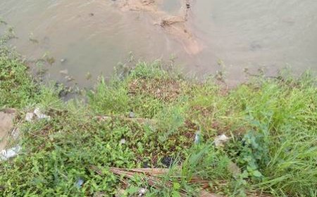 Yamoussoukro / Affaire les occupants d'un véhicule dévorés par les caïmans : L’éclairage du ministre Augustin Thiam