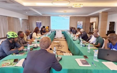 Lutte contre le changement climatique : un renforcement des capacités sur le Projet Transition Bas Carbone initié à l’endroit des acteurs non étatiques