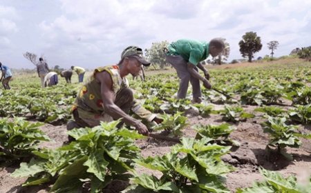 Programme Spécial en faveur des jeunes du Nord : Un dispositif robuste pour faire barrage aux extrémismes