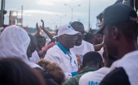 Elections municipales et régionales : meeting de clôture des candidats du PPA-C I du Poro